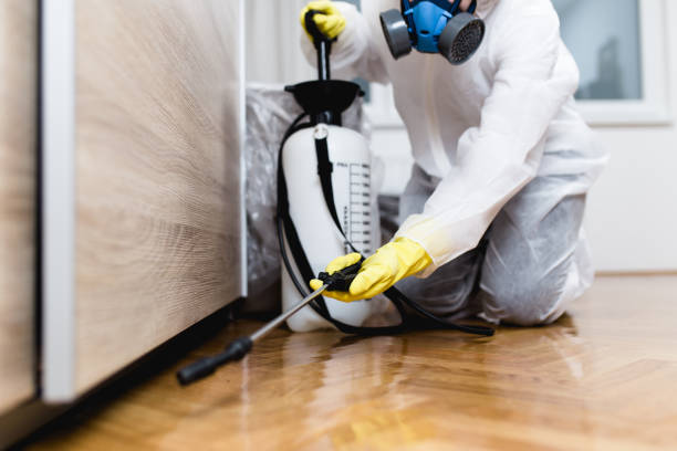 Best Best Pest Control Companies  in Mccaysville, GA