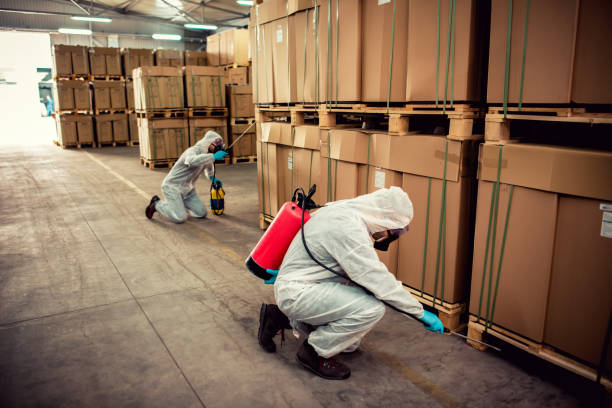 Best Ant Control Services  in Mccaysville, GA