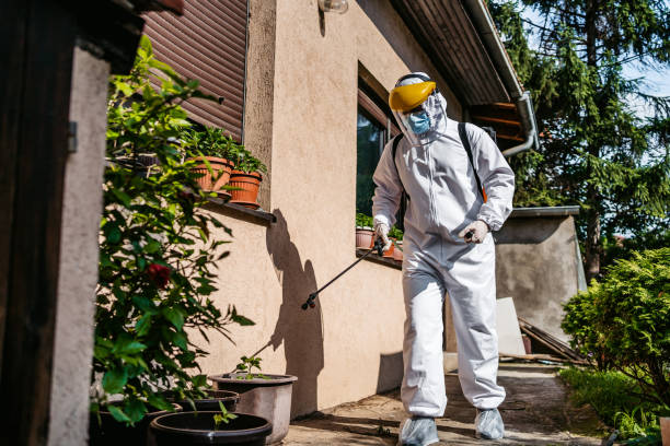Best Exterminator Services  in Mccaysville, GA