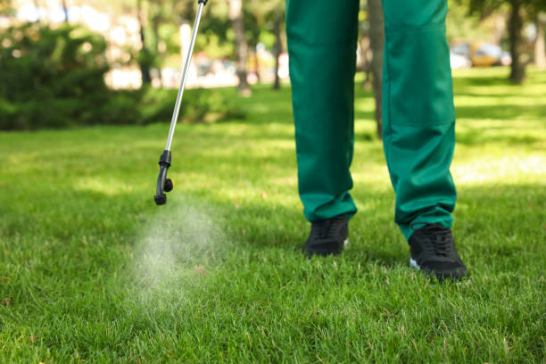 Best Insect Control  in Mccaysville, GA