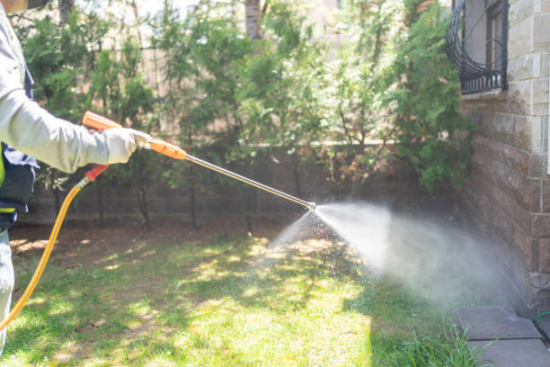 Best Insect Control  in Mccaysville, GA